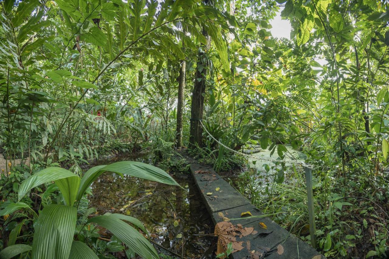 Cabanas Del Rio Aparthotel La Fortuna ภายนอก รูปภาพ