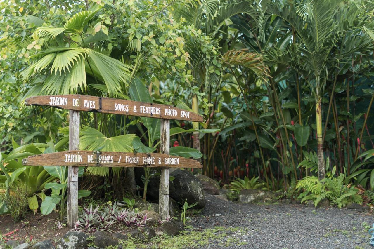 Cabanas Del Rio Aparthotel La Fortuna ภายนอก รูปภาพ