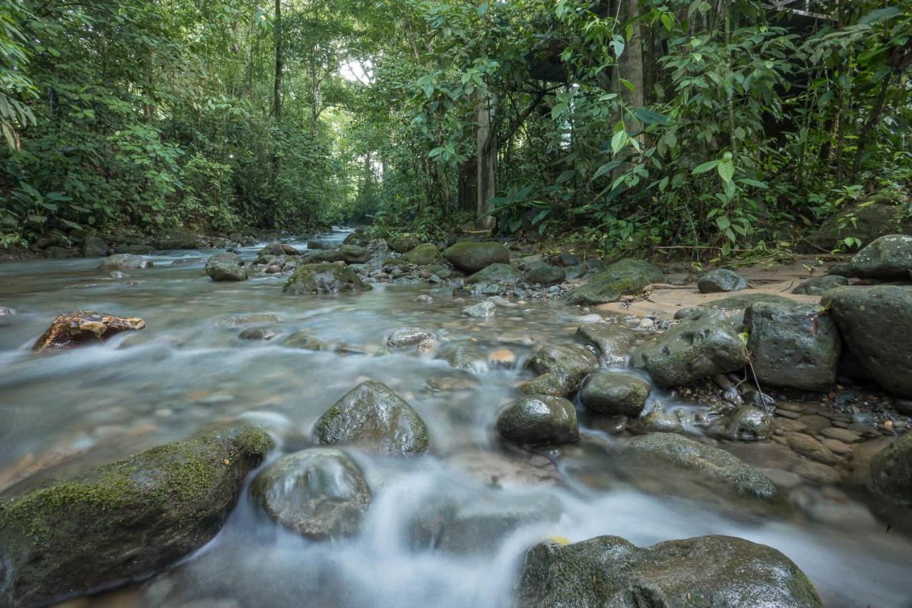 Cabanas Del Rio Aparthotel La Fortuna ภายนอก รูปภาพ