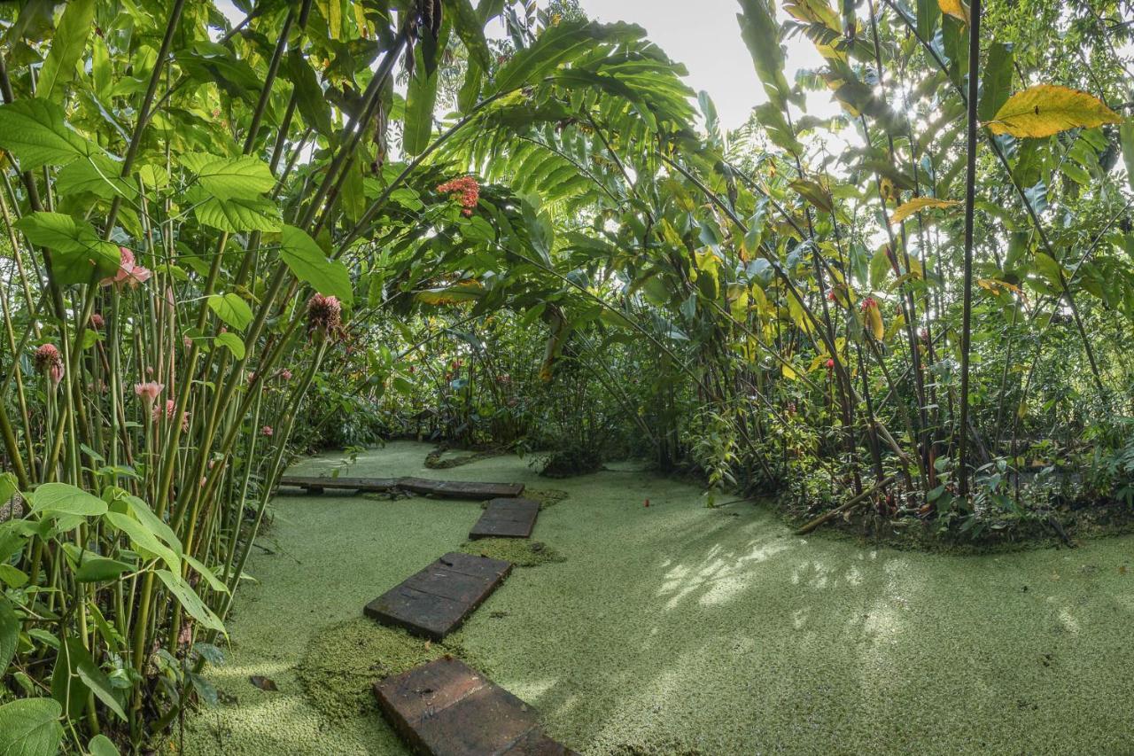 Cabanas Del Rio La Fortuna ภายนอก รูปภาพ