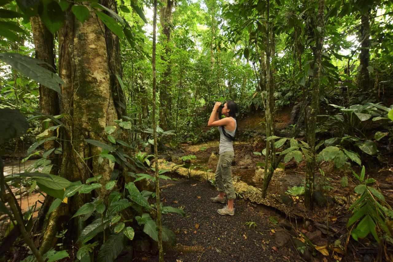 Cabanas Del Rio La Fortuna ภายนอก รูปภาพ